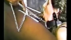 Leashed, collared cougar and black bull finale